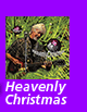 Heavenly Christmas